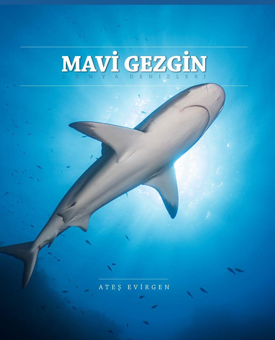 Mavi Gezgin