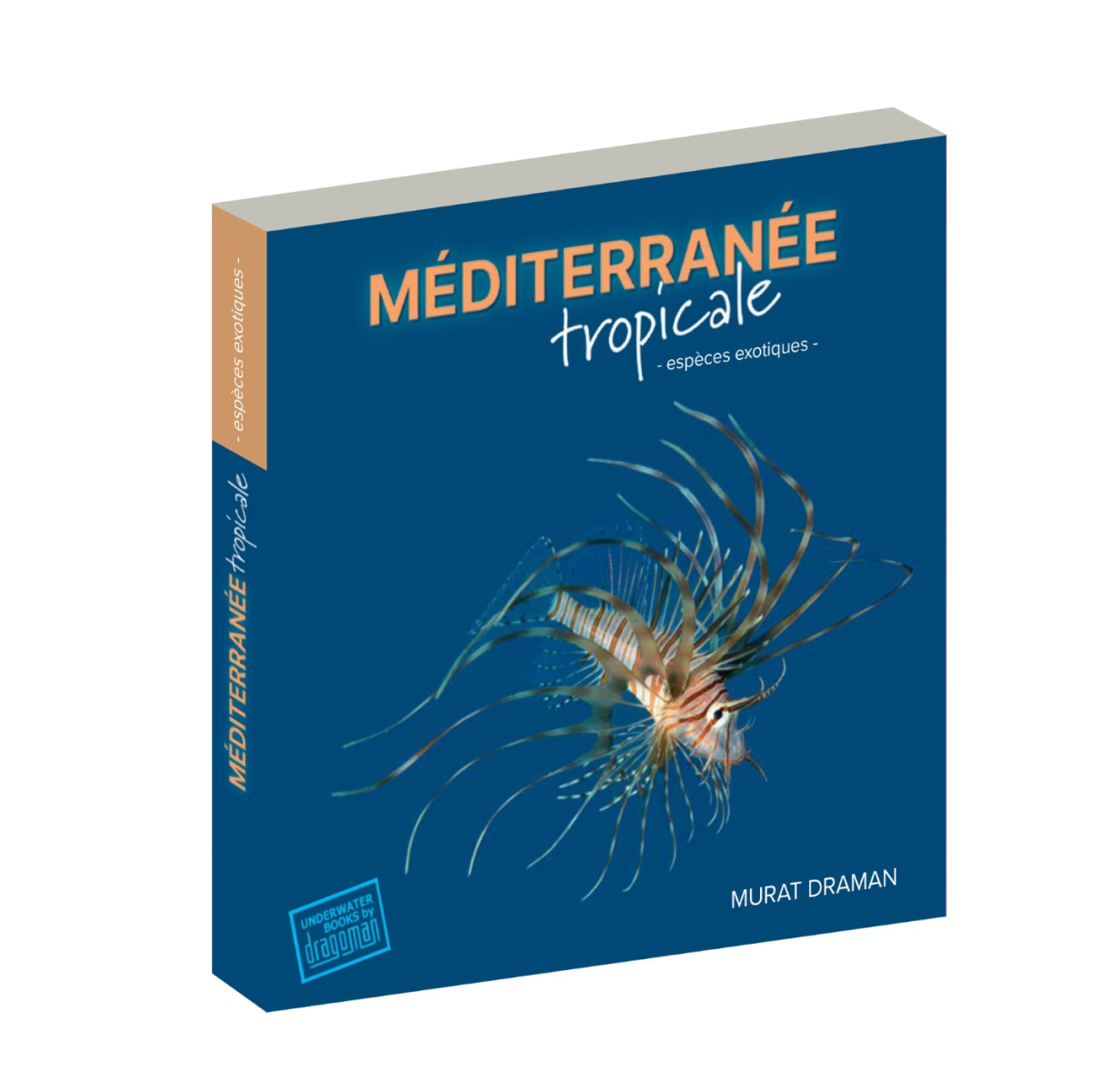 Mediterranee Tropicale