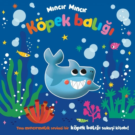 Mıncır Mıncır - Köpek Balığı Sukuşi