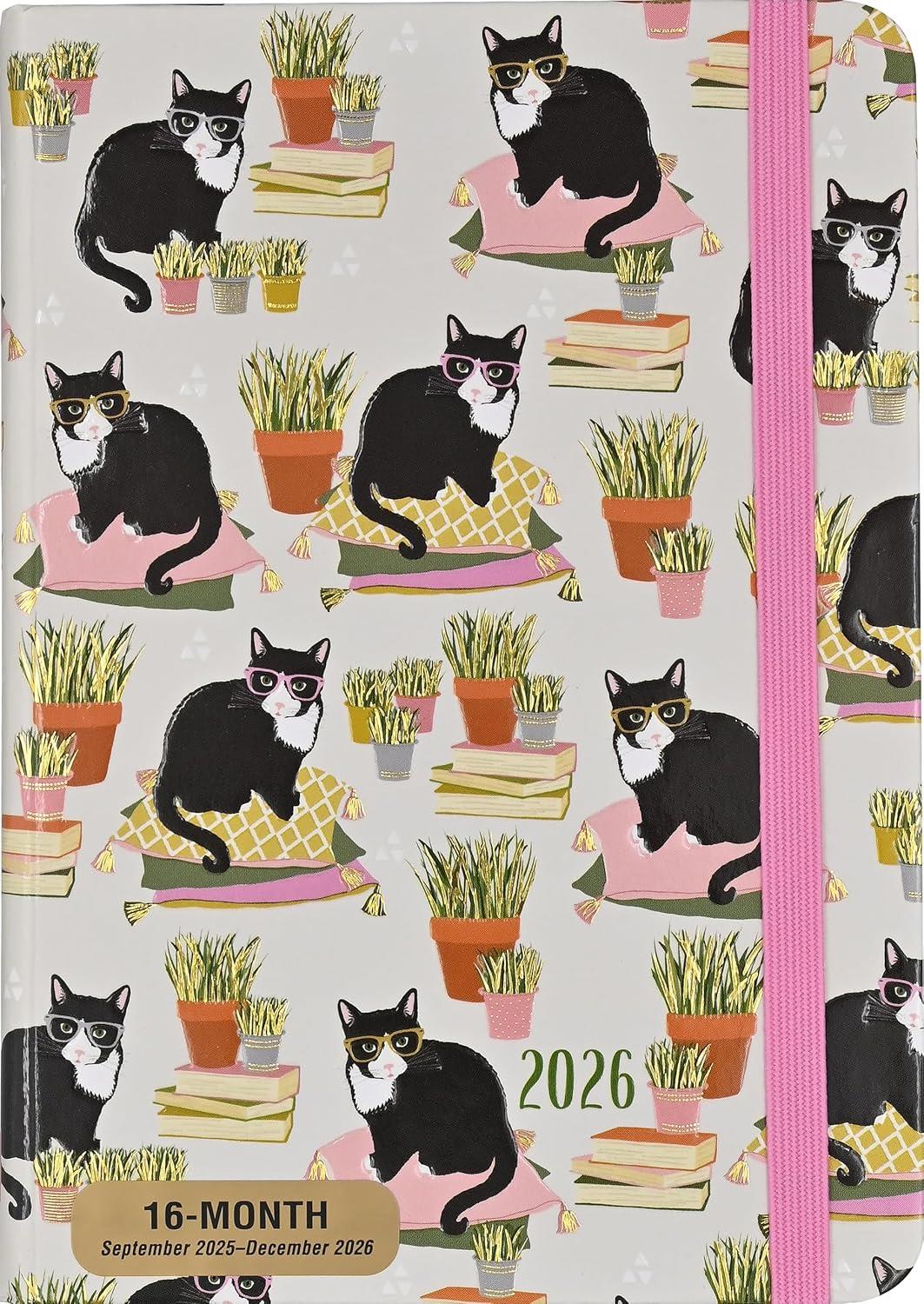 Pp:Compcal 26: Smarty Cats