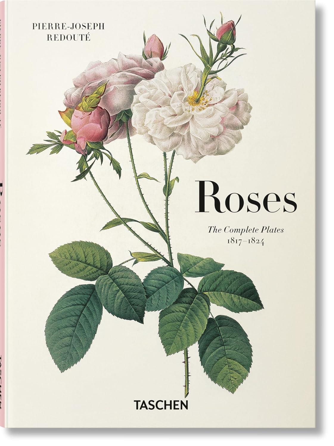 Redoute Roses