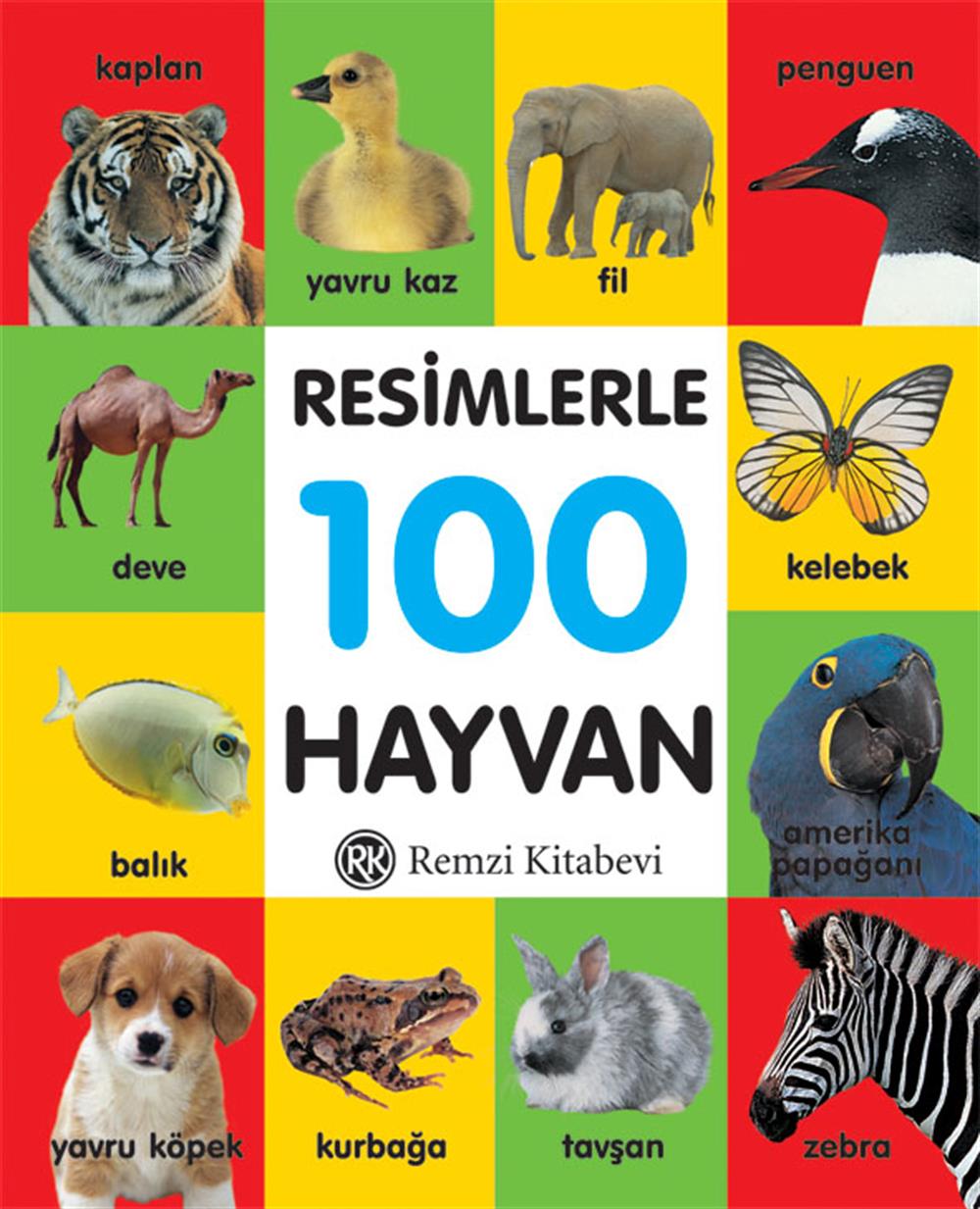 Resimlerle 100 Hayvan (Küçük Boy)
