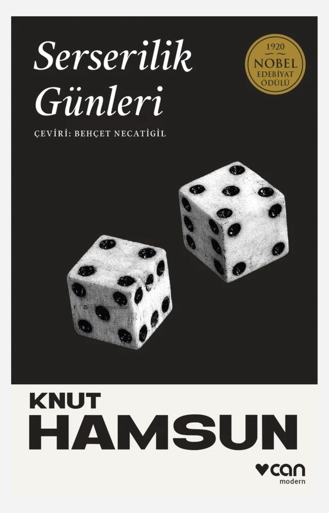 Serserilik Günleri
