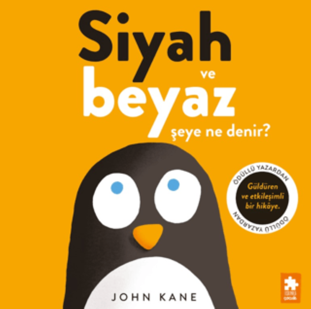 Siyah ve Beyaz Şeye Ne Denir?