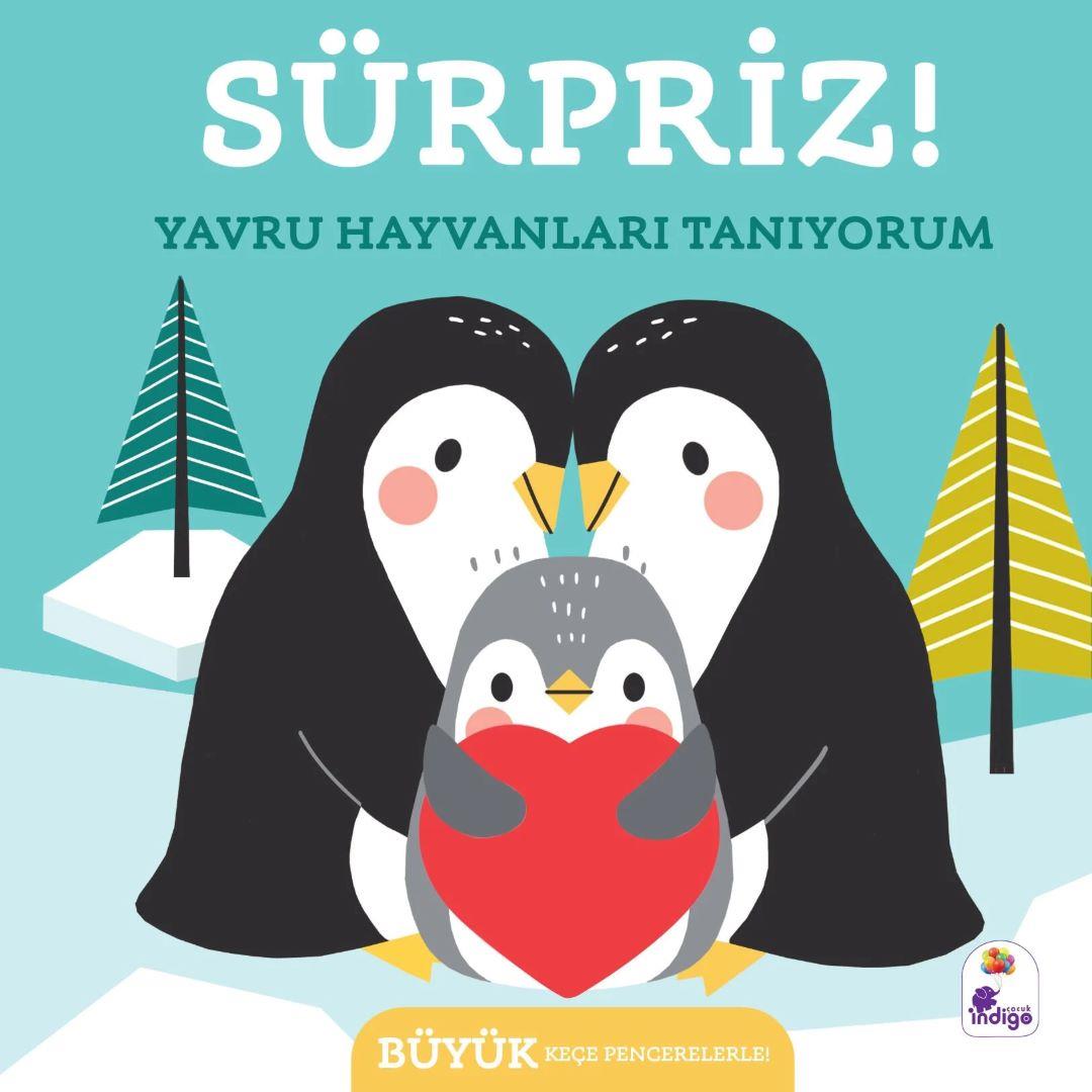 Sürpriz! - Yavru Hayvanları Tanıyorum