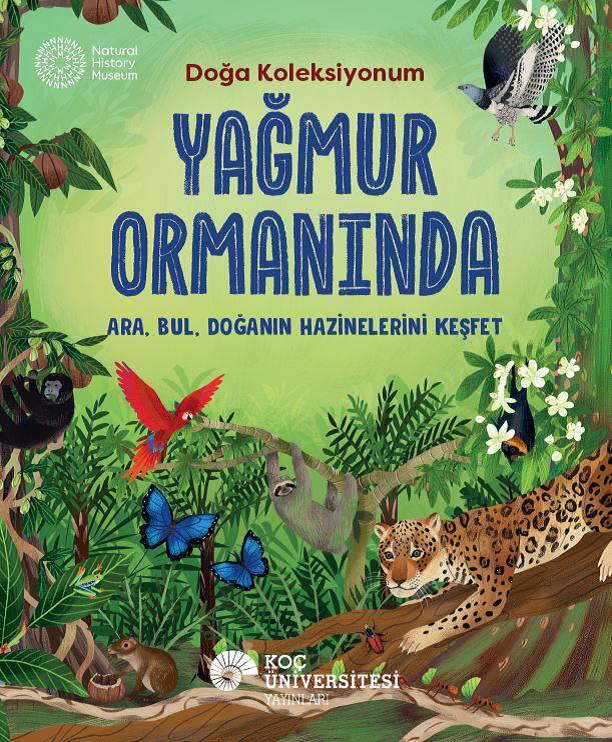 Yağmur Ormanında