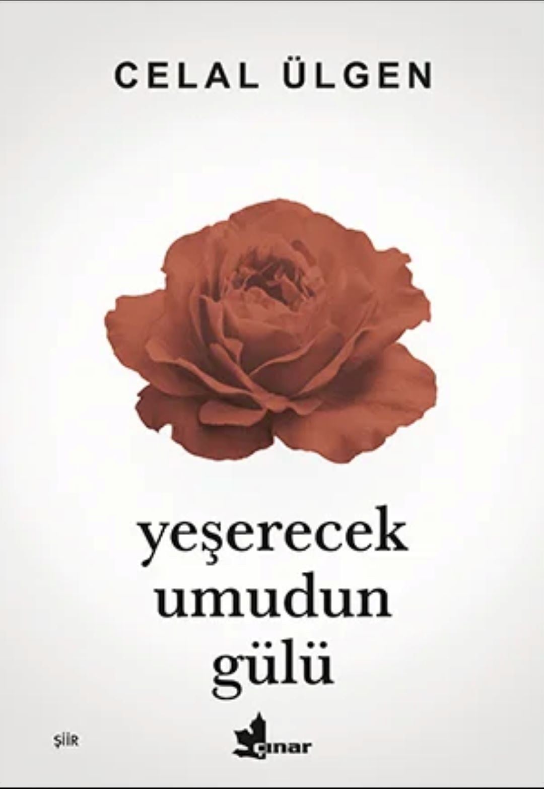 Yeşerecek Umudun Gülü