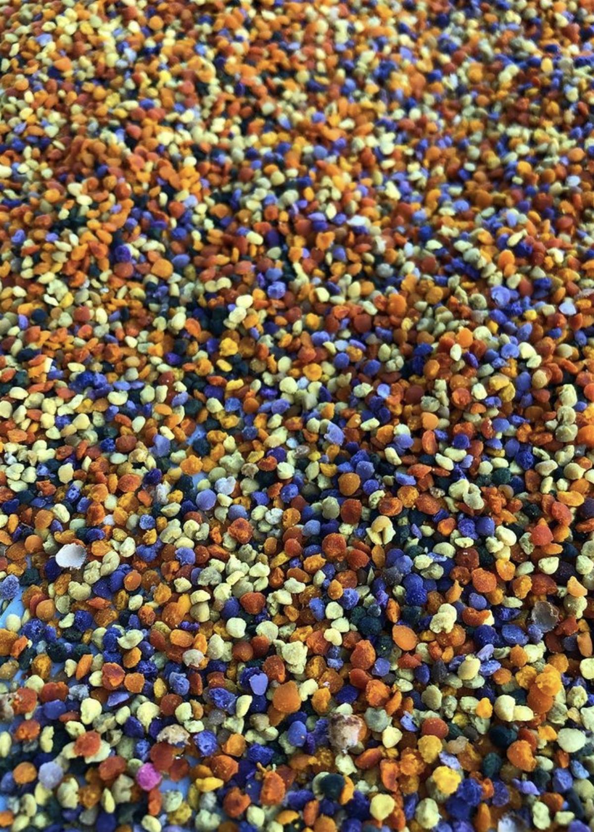 Arı Poleni 200g