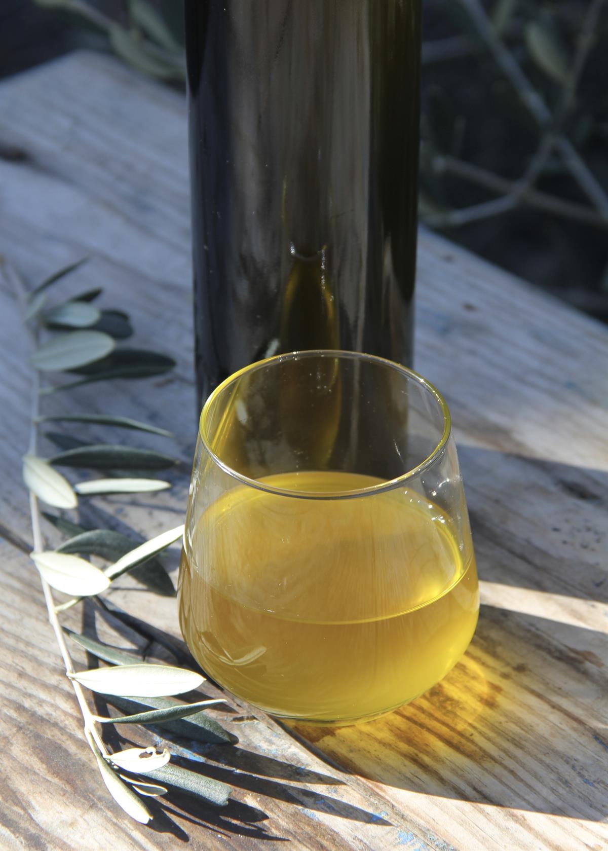 Erken Hasat Soğuk Sıkım Naturel Sızma Zeytinyağı 5lt