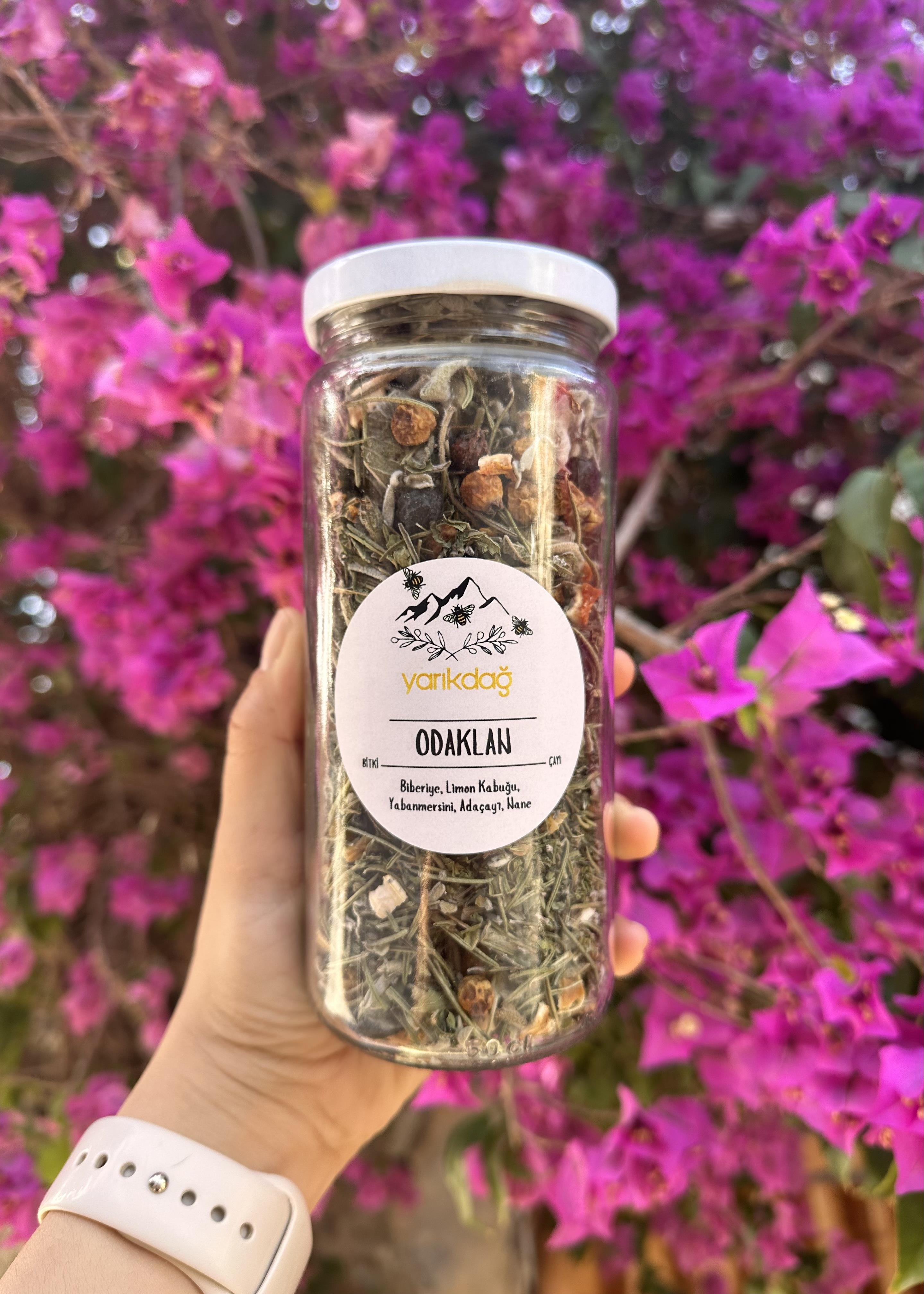 Odaklan | Bitki Çayı
