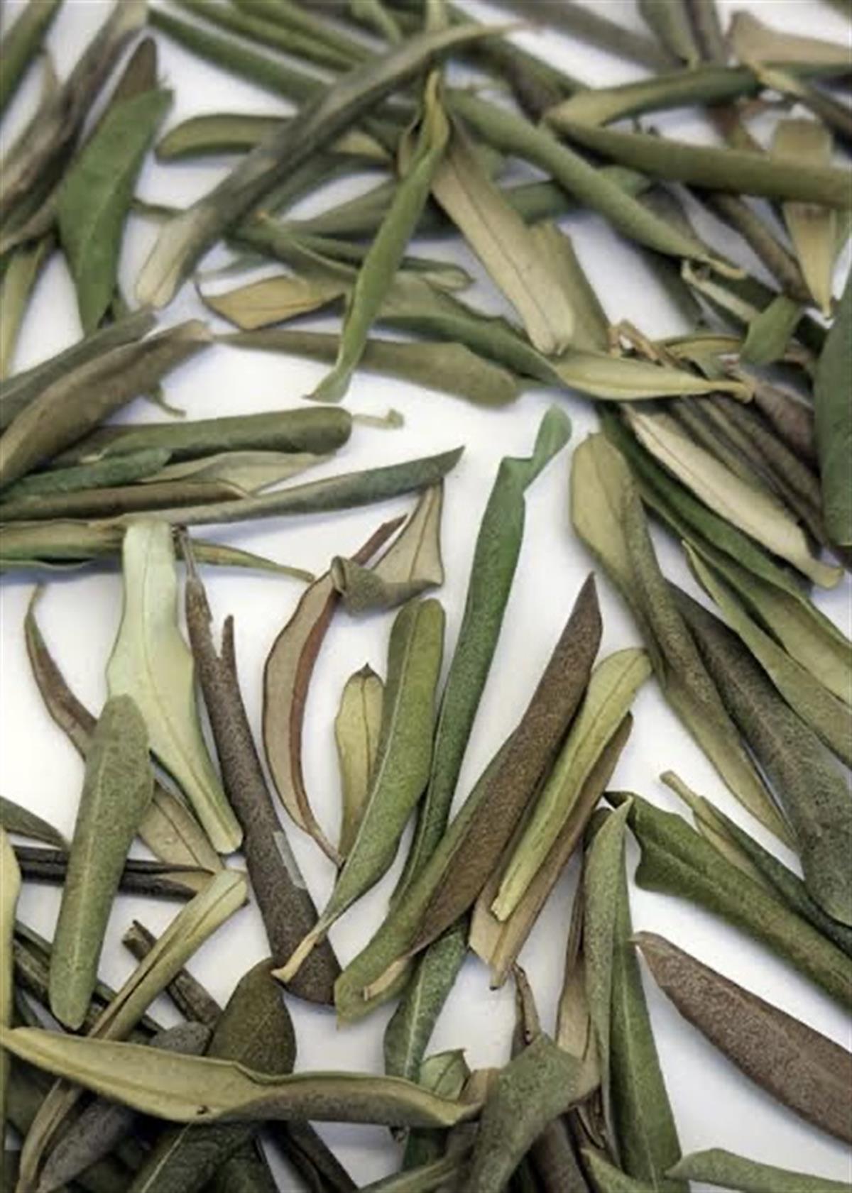 Zeytin Yaprağı 80g
