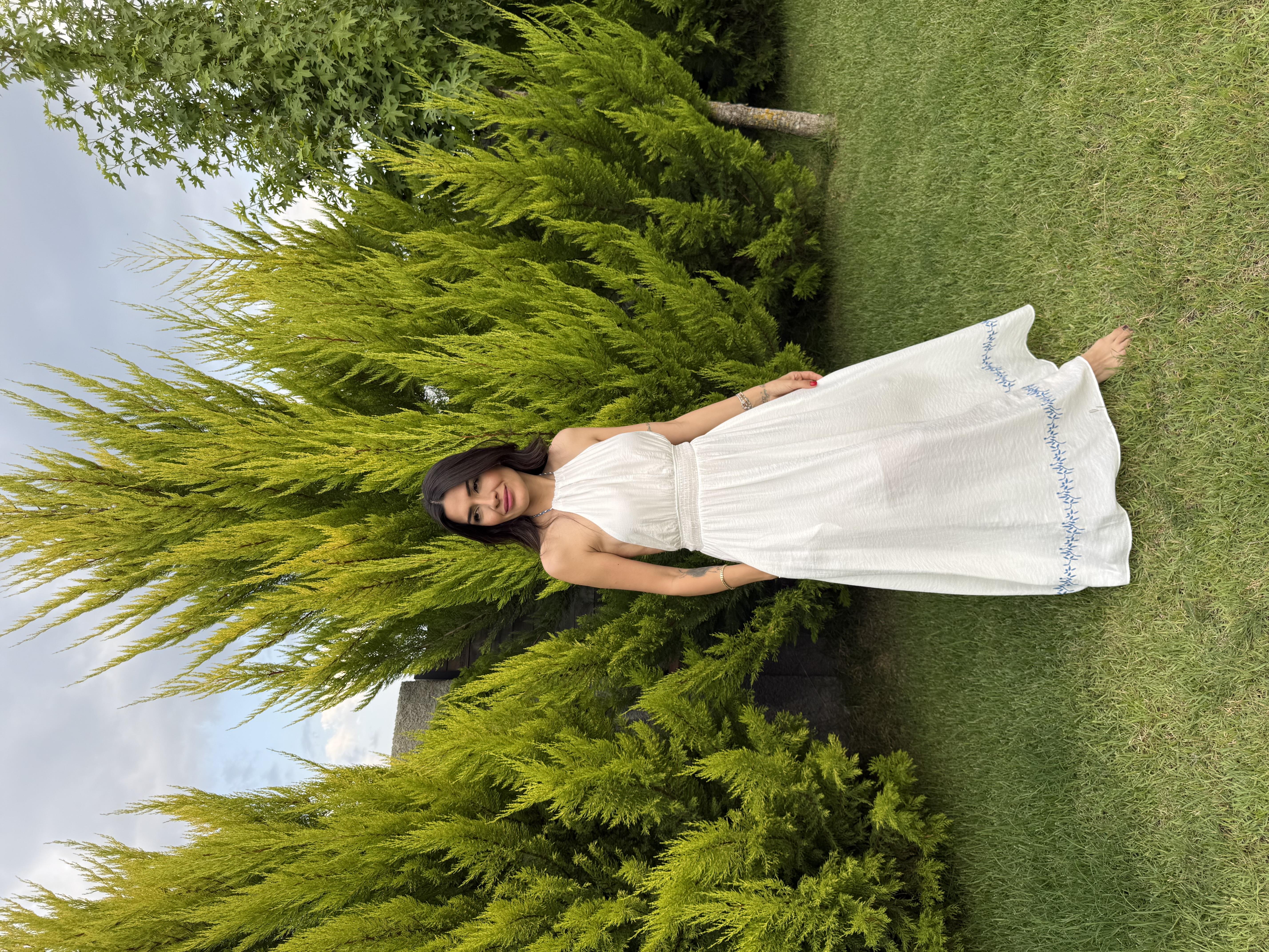 Beli Lastikli Sırt Dekolteli Nakışlı Elbise