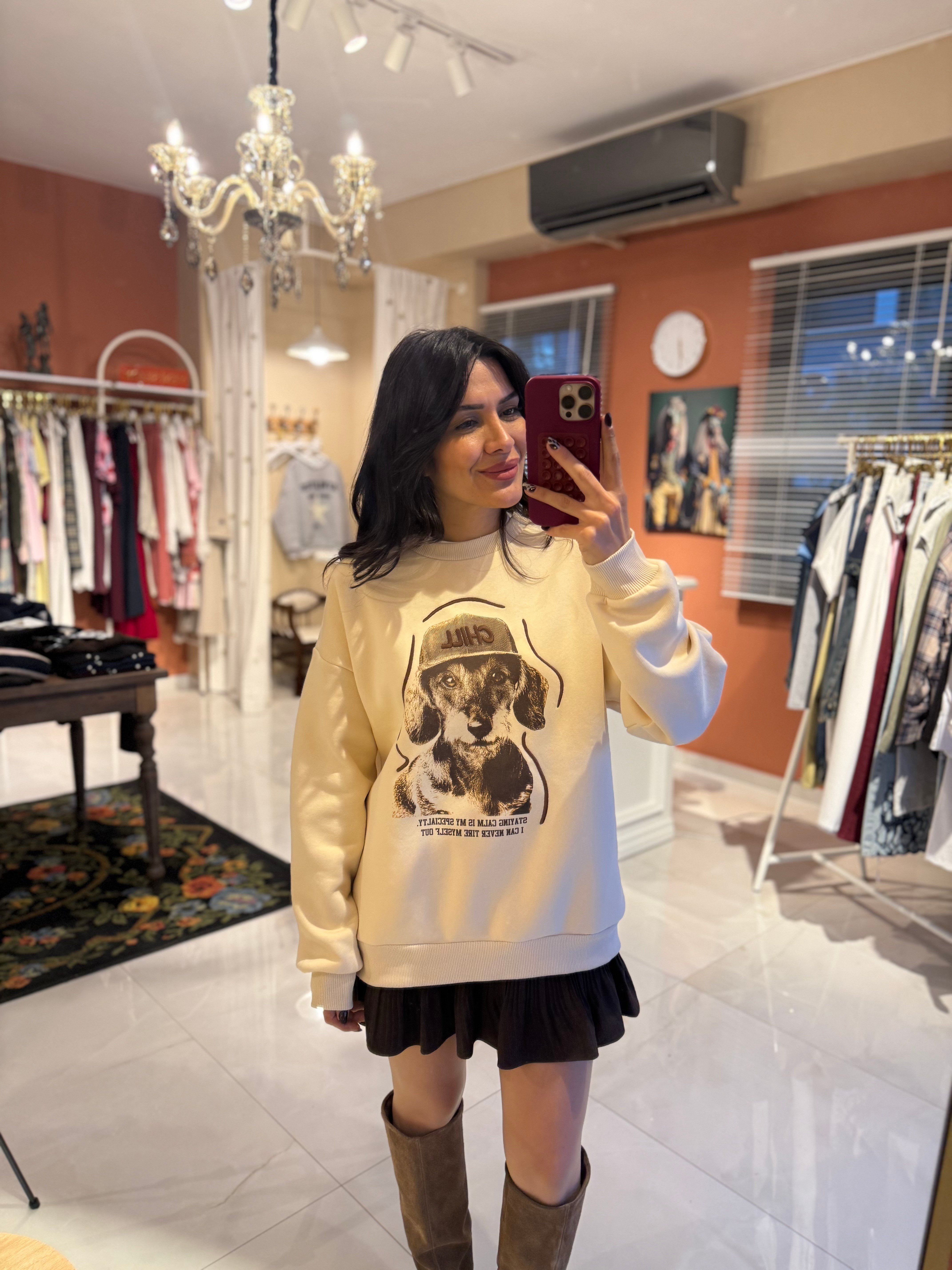 Köpek Baskı ve Nakış Detaylı Bej Sweatshirt 