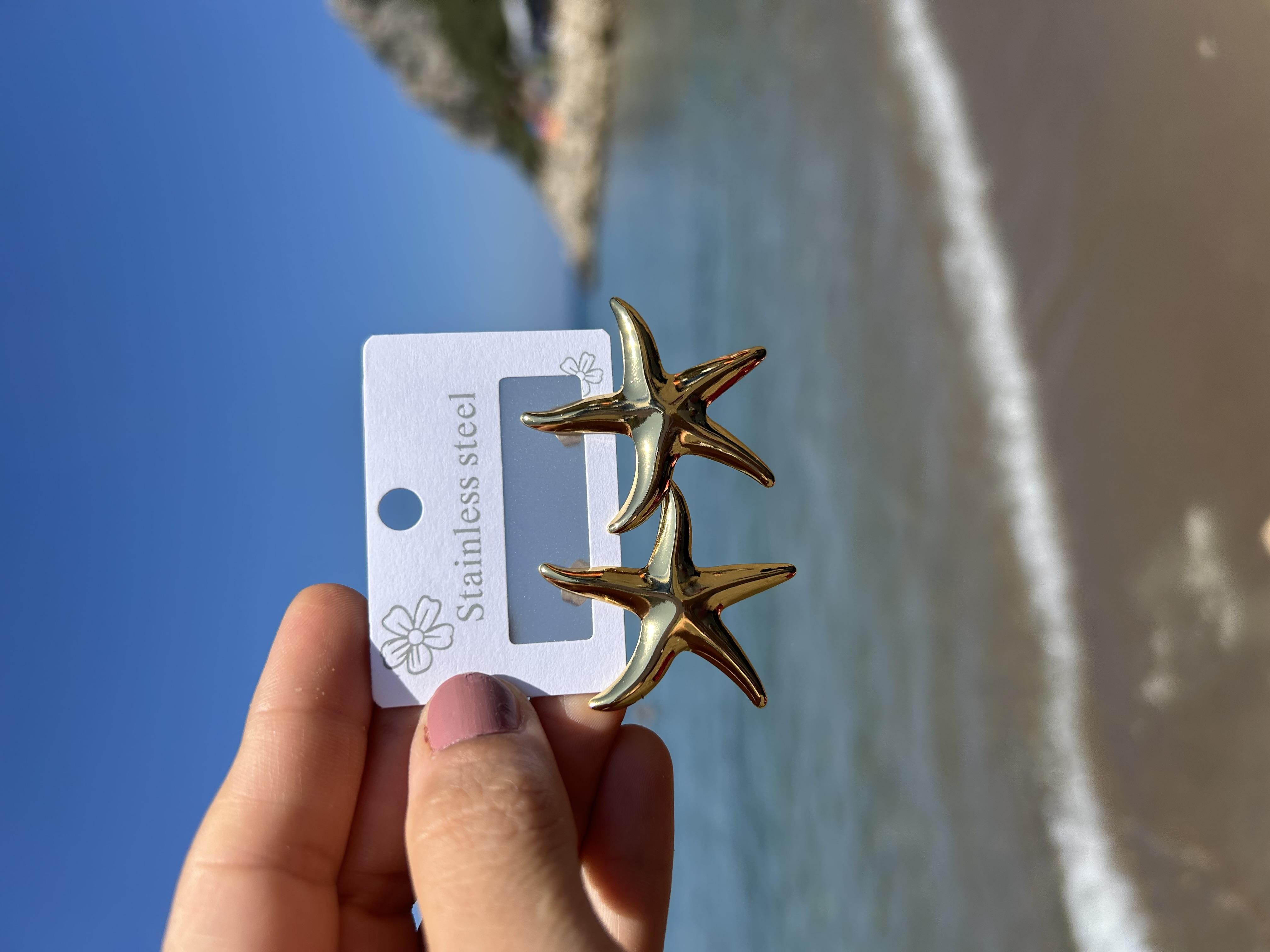 Deniz yıldızı model Çelik küpe 