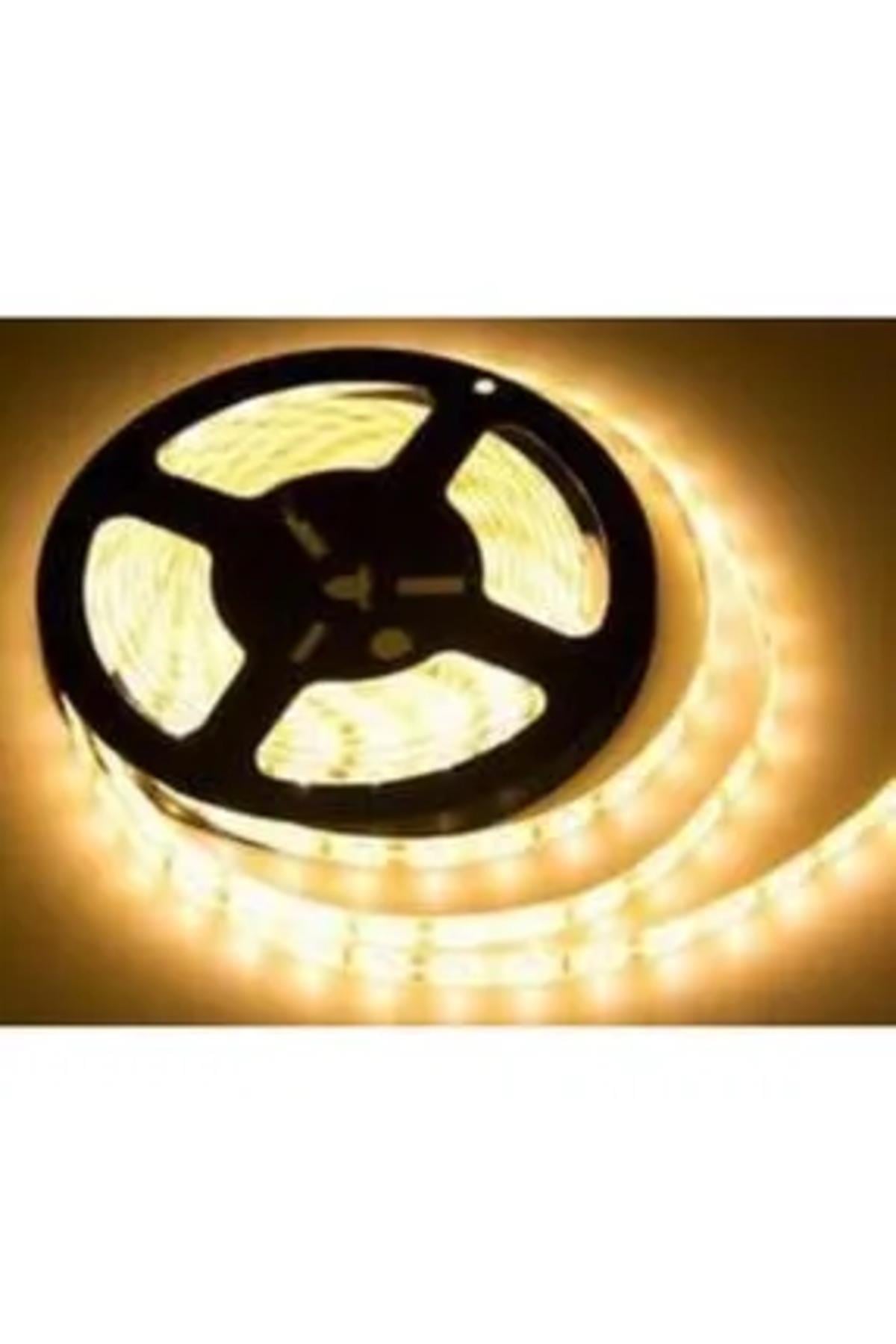 HELİOS GÜN IŞIĞI 12V İÇ MEKAN ŞERİT LED (5 MT)