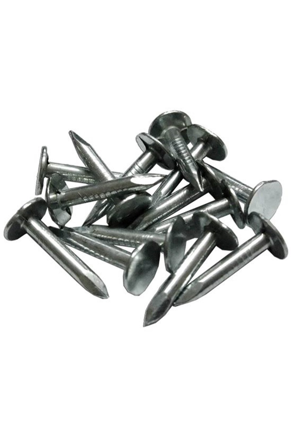 ŞINGIL ÇİVİSİ 25 MM