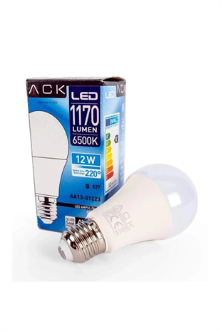 LED AMPUL 12W 6500K E27 A60