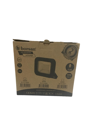 LED ECO PROJEKTÖR 30W (6500K) (BORS