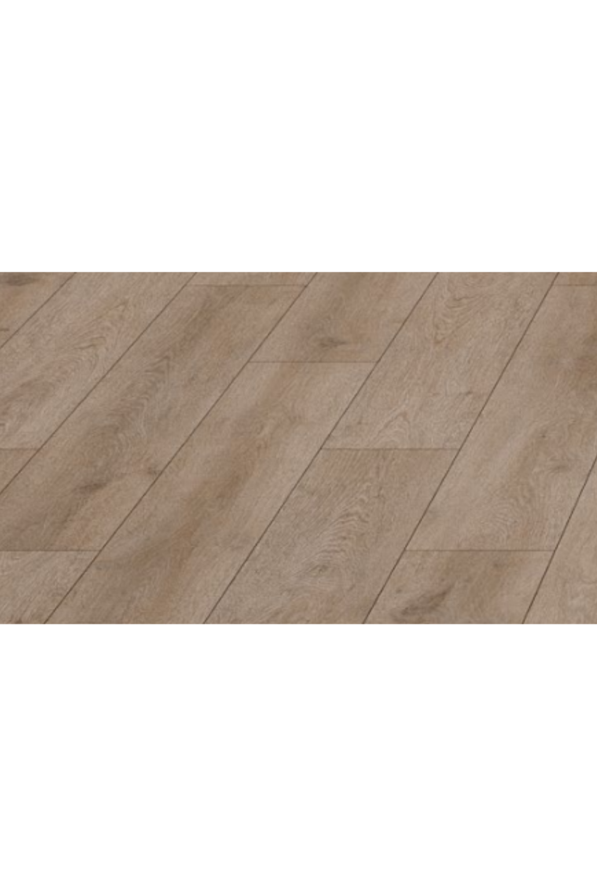 TERRACLİCK MORRİS 8 MM (31-AC3)