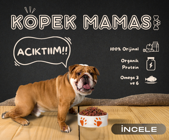 Köpek Maması