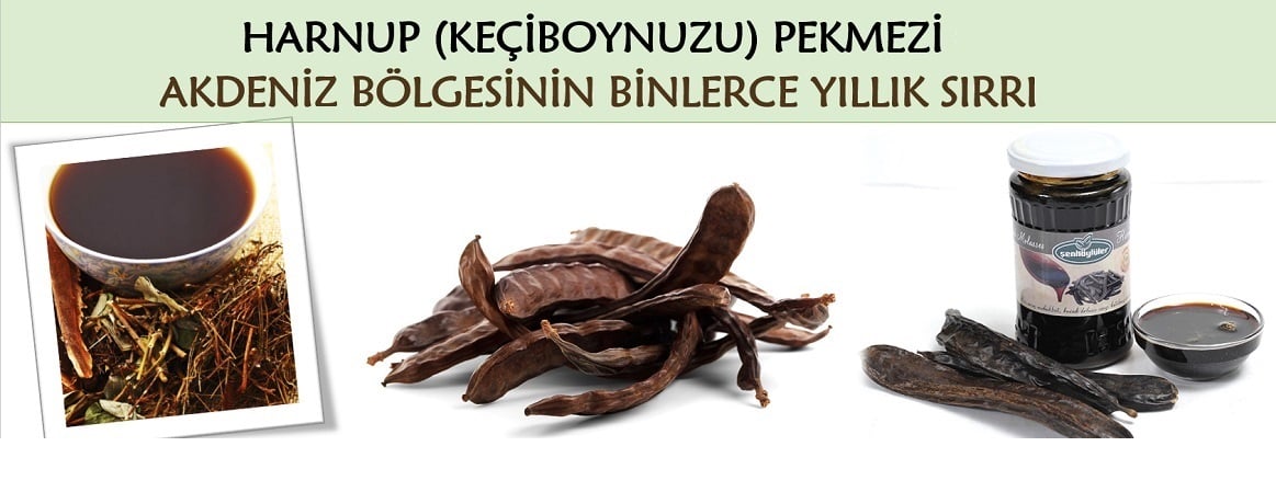 Harnup (Keçiboynuzu) Pekmezi
