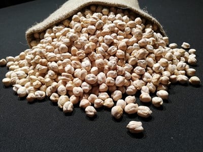 SENKOYLULER NOHUT 750GR