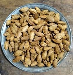 El Bademi Net 500gr