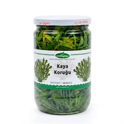 KAYA KORUĞU BRÜT 880GR