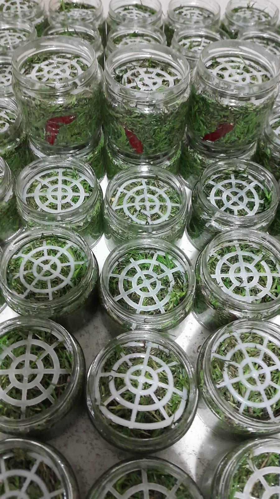 ŞENKÖYLÜLER ZEYTİNYAĞLI ZAHTER