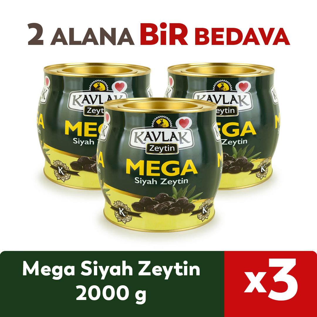 カノBlack Greek 2本 Paratjalina 2本 Mega Gemlik Siyah Zeytin 2 Kg (brüt) 2 ALANA 1 BEDAVA