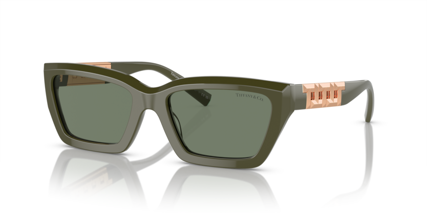 Tiffany &Co. tf4213/839882