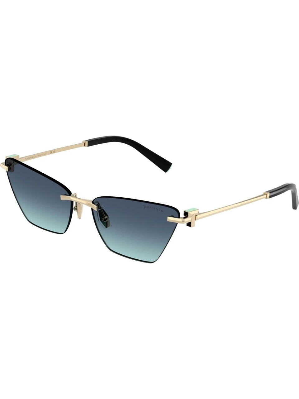 Tiffany &Co. tf3120/60219S