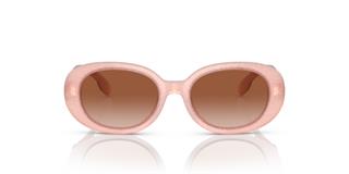 Burberry jb4339/3923-13