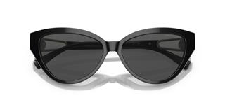 Emporio Armani 4192/501787