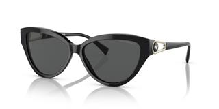 Emporio Armani 4192/501787
