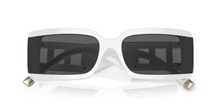 Tiffany&Co.  TF4197/8357S4