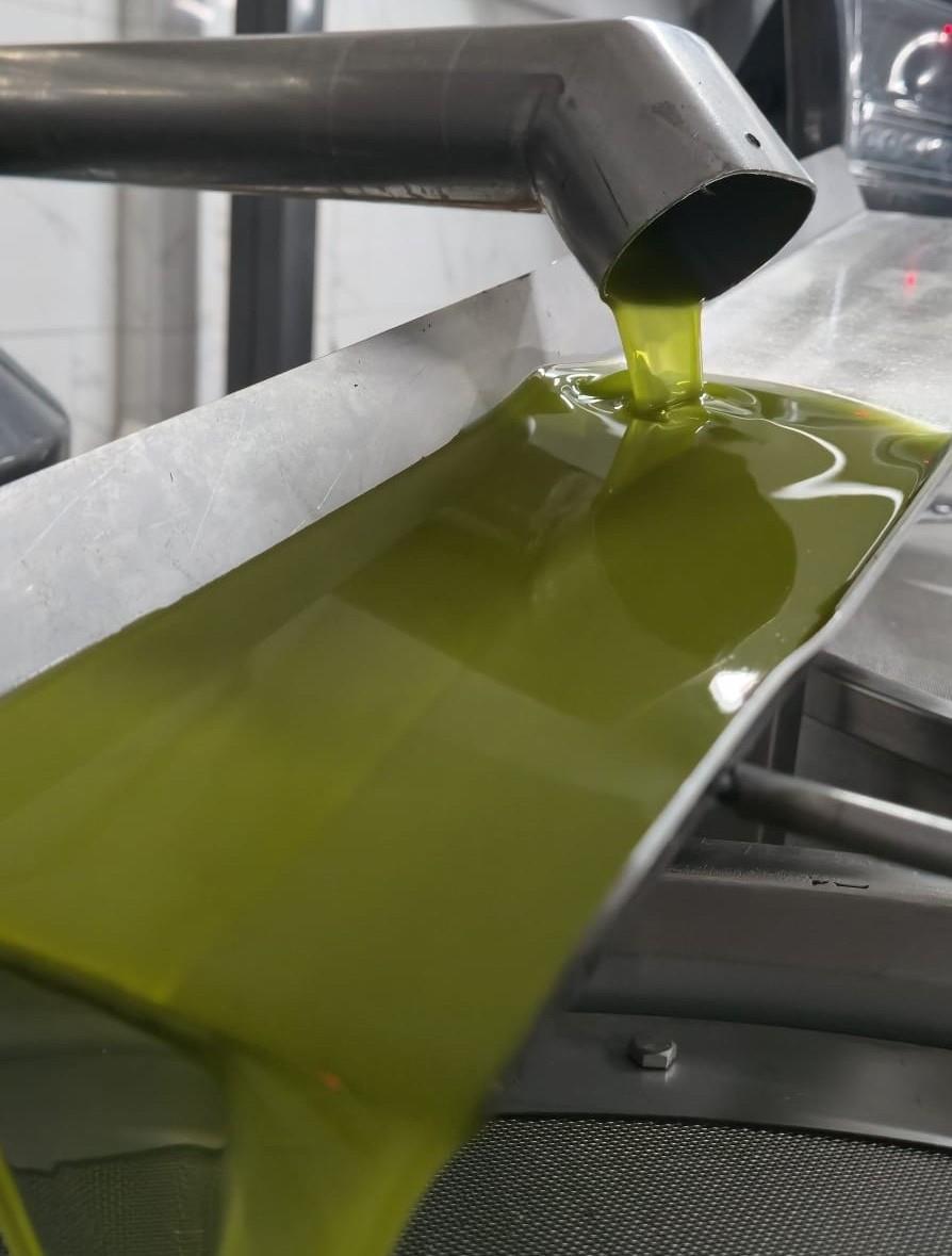 %100 Dağ Yağı 500 ml