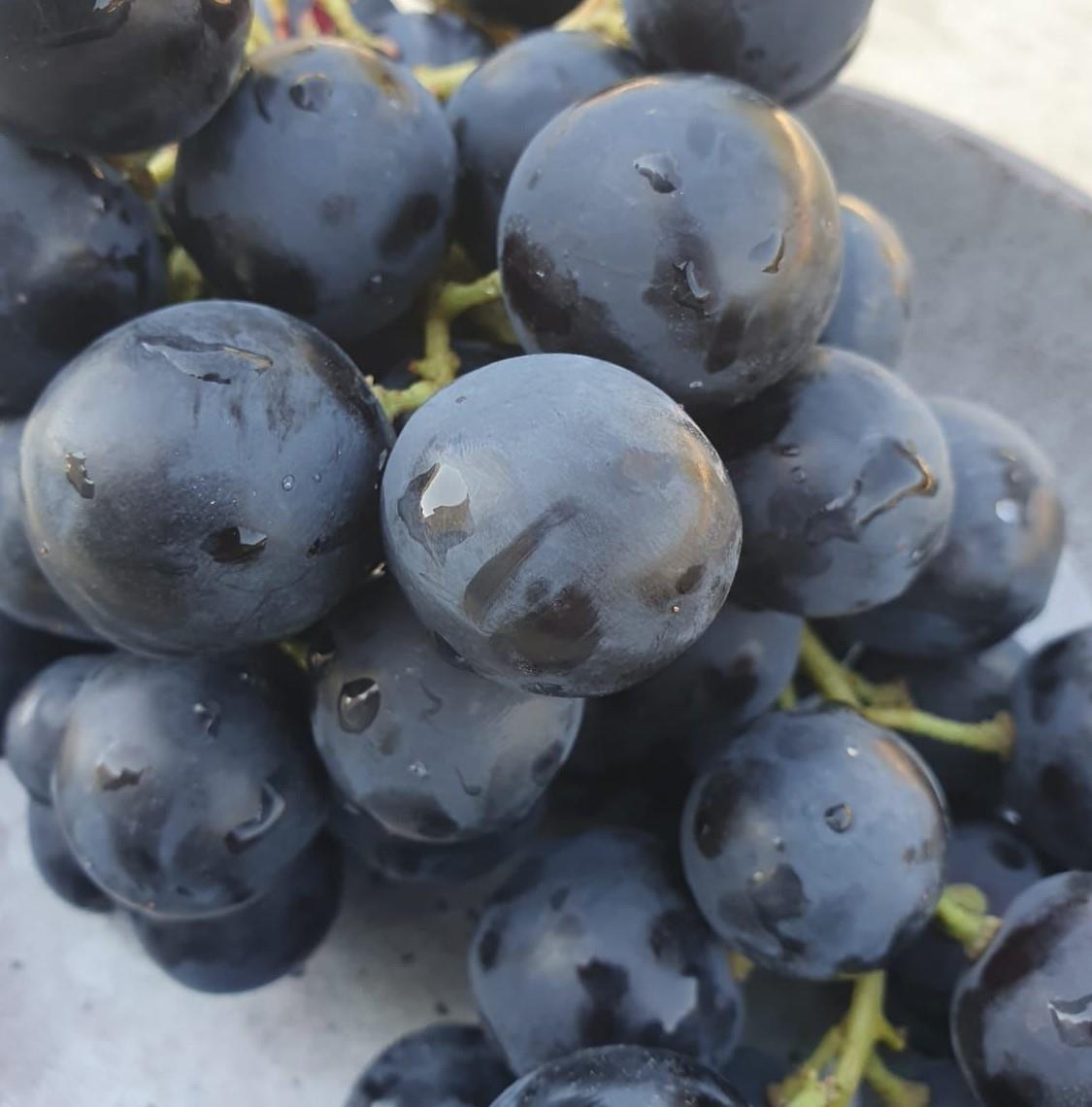 %100 Üzüm Suyu 250 ml