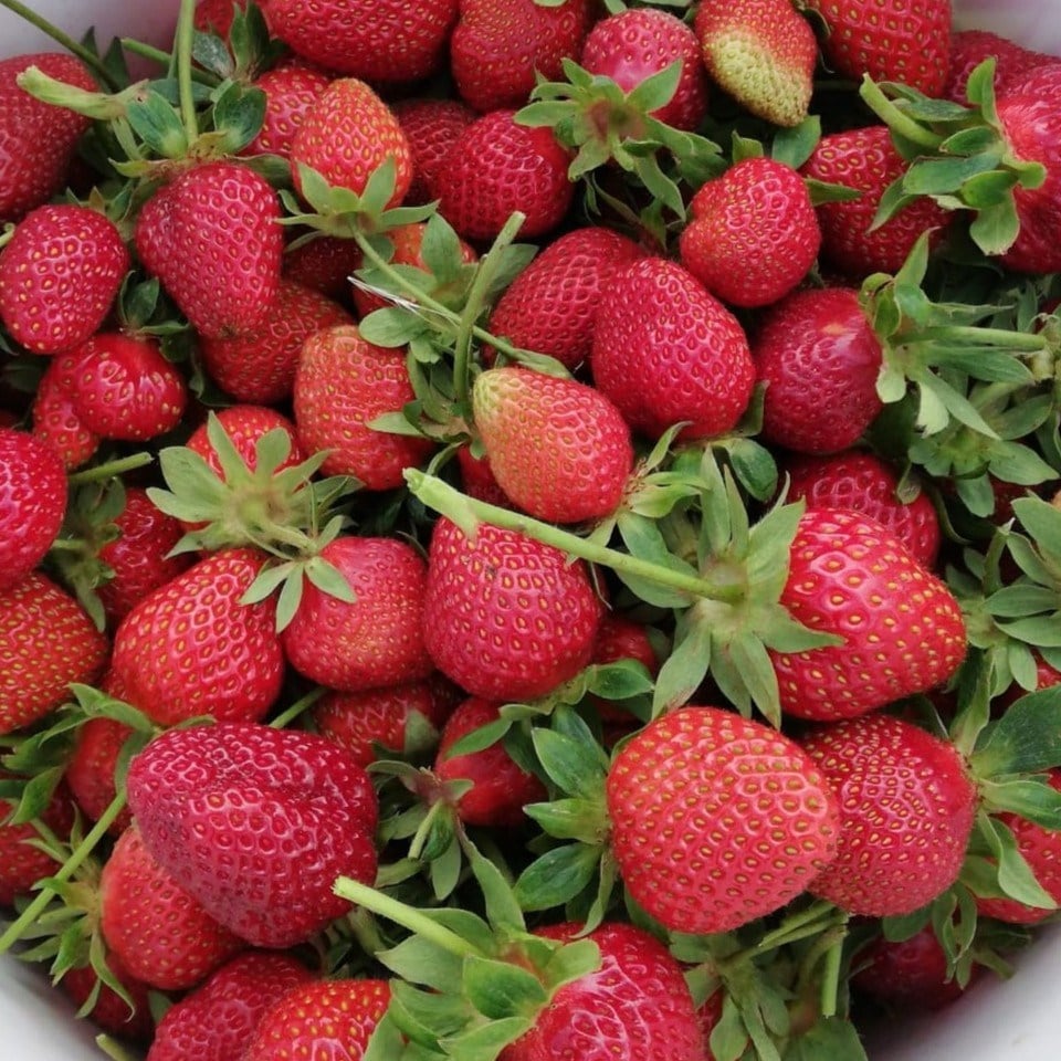 Chia Tohumlu Çilek Reçeli 215 g (şeker ilavesiz)