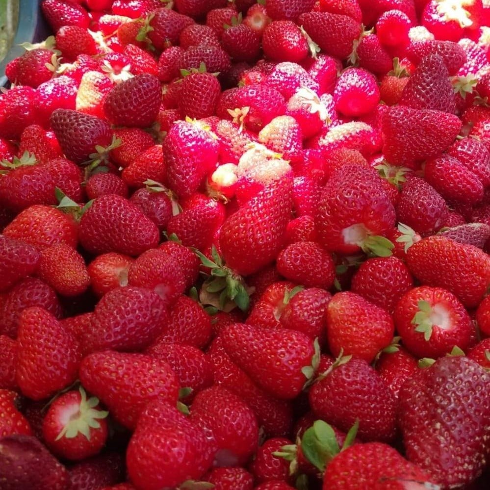 Çilek Marmelatı 200 g (%100 Meyveden)