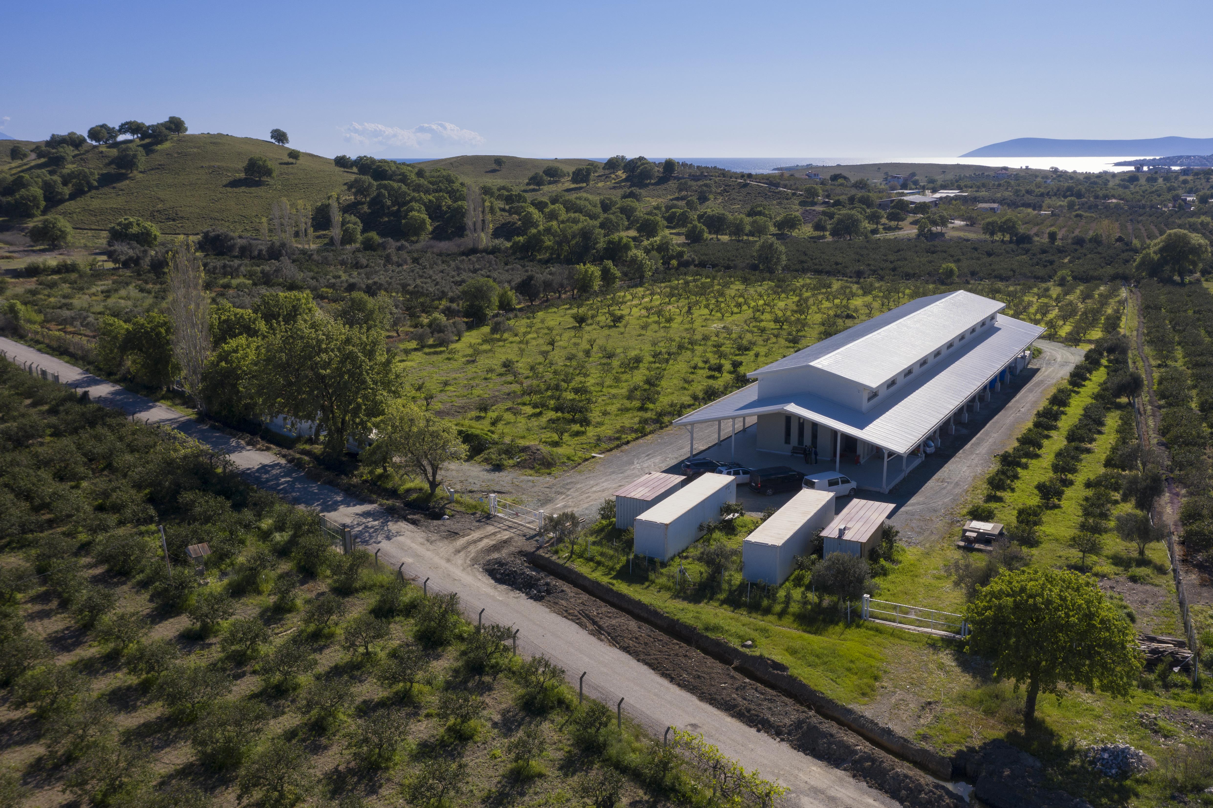 Domat - Erken Hasat Natürel Sızma Zeytinyağı 5 L