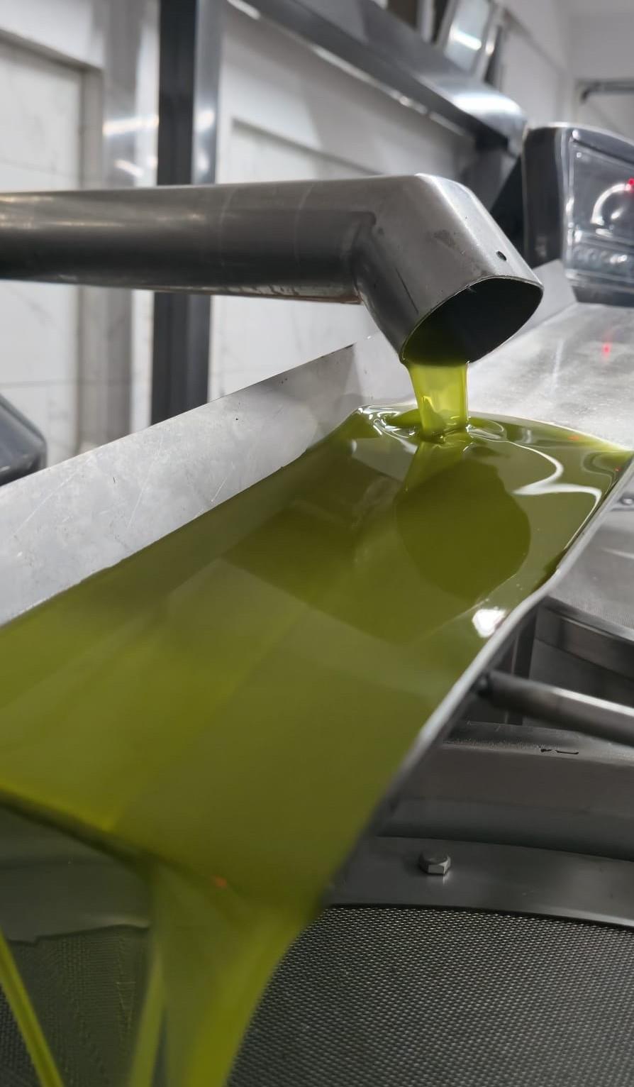 2025/26 İlk Hasat Filtresiz Natürel Sızma Zeytinyağı (Domat) 500 ml