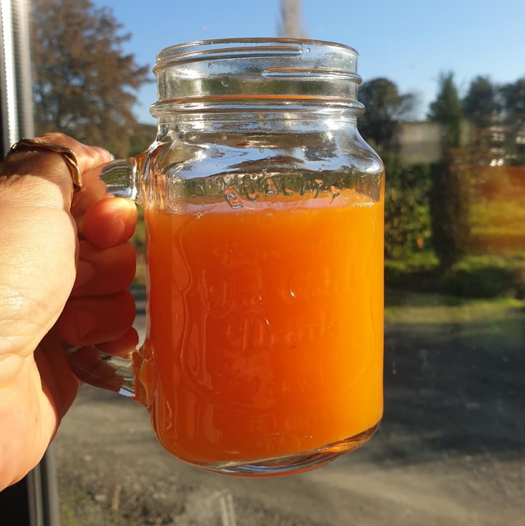 Organik %100 Mandalina Suyu 1 L