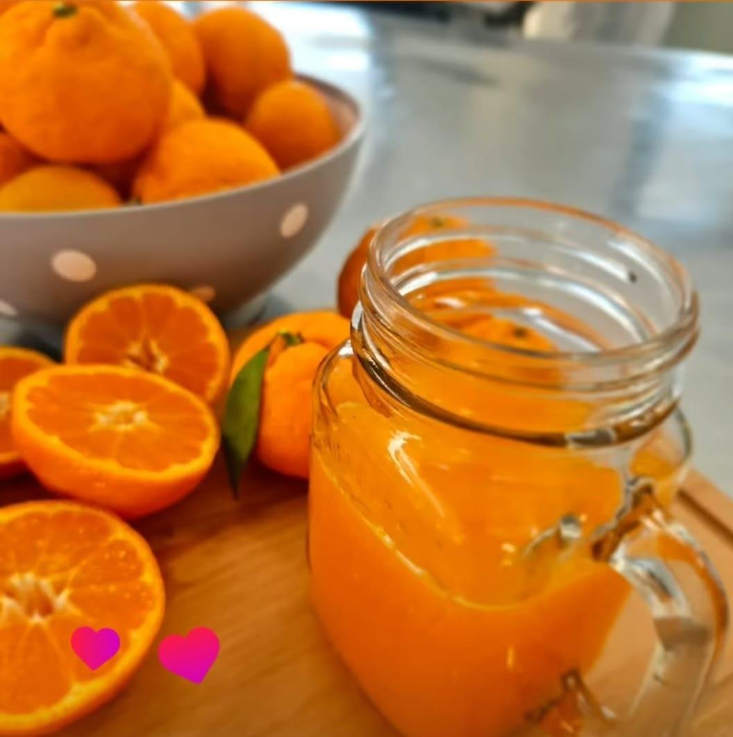 Organik %100 Mandalina Suyu 1 L