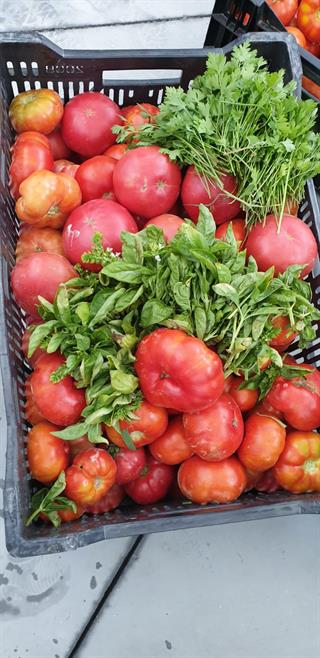 Fesleğenli Domates Sosu 375 g