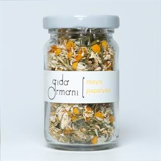 Mayıs Papatyası 10 g