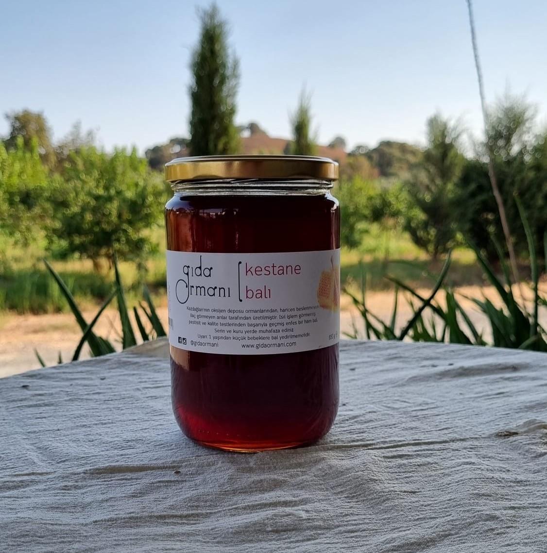 Kestane Balı 850 g