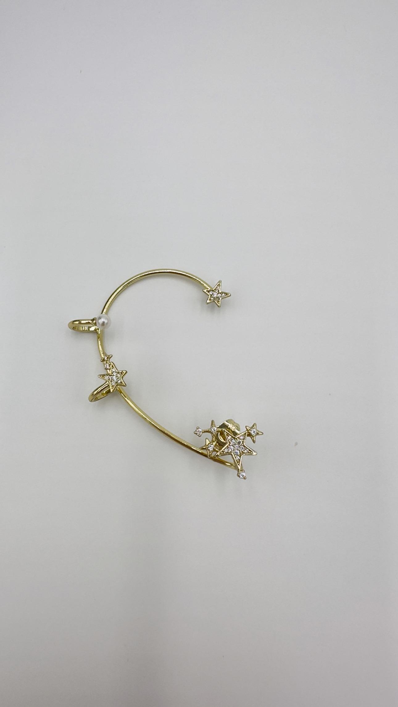 Vp 14 K Özel Tasarım Model Küpe