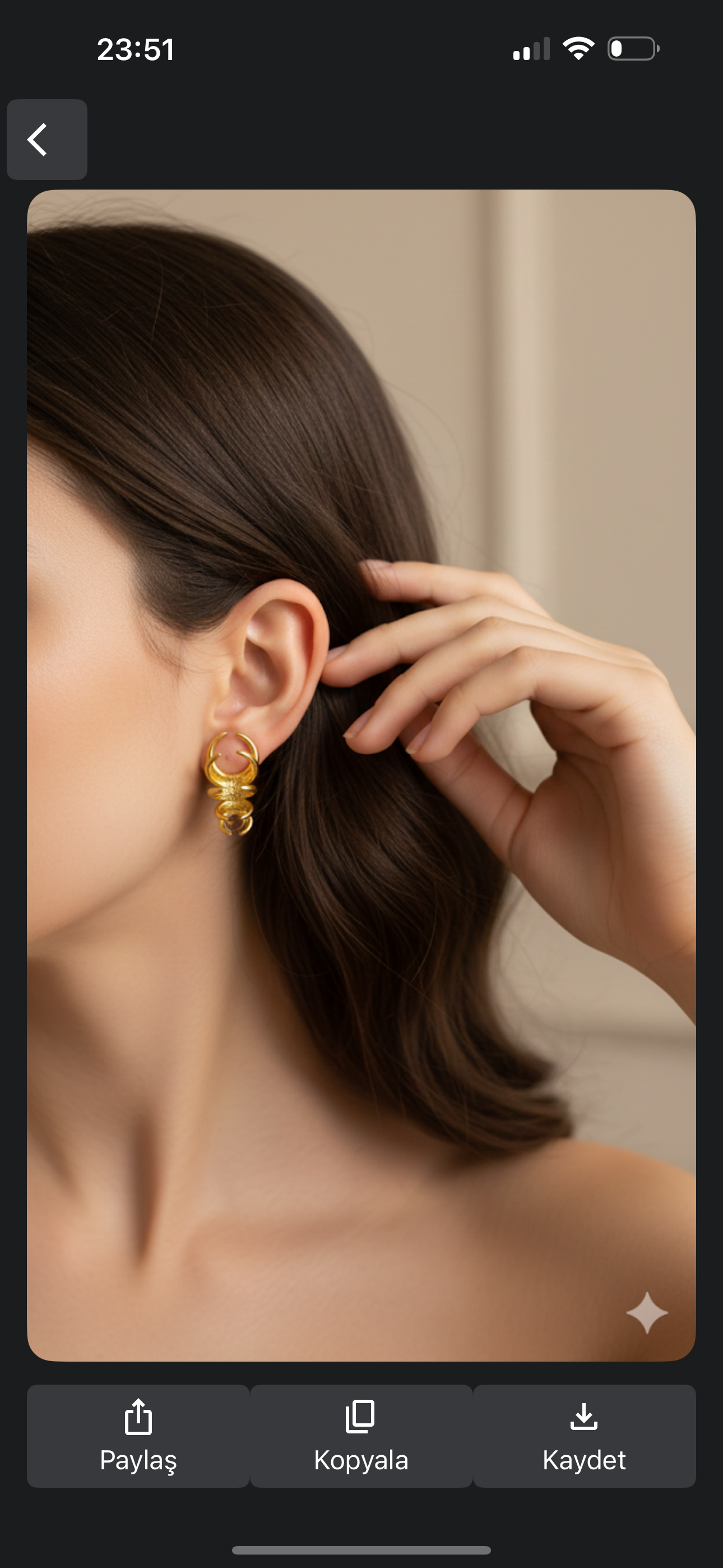 Vp 14 K  Sarmal Küpe