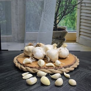 TAZE BAŞ SARIMSAK 
